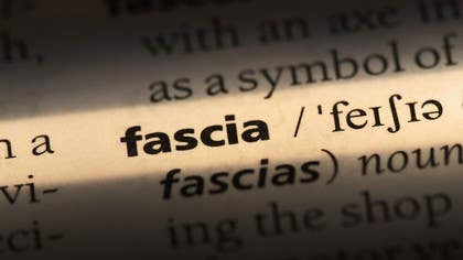 What the F is Fascia?