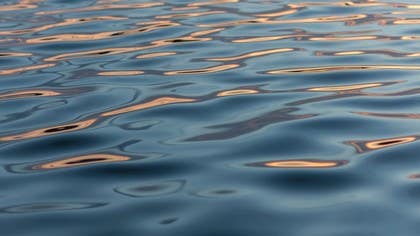 The Wisdom of Patanjali and Krishnamurti