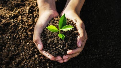 Spring Green: Tips for a Greener Lifestyle