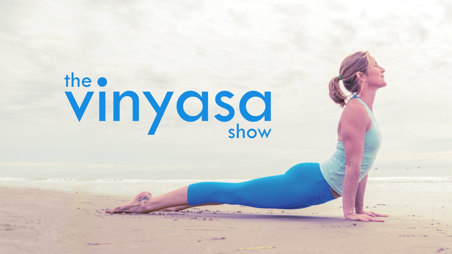 The Vinyasa Show Artwork