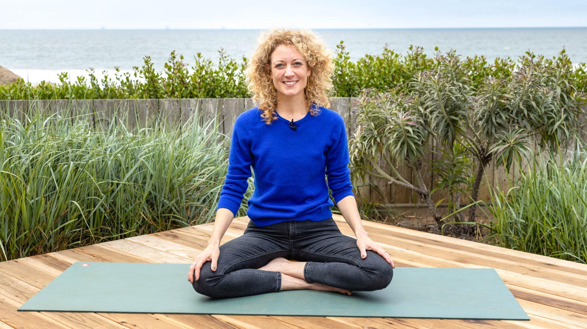 The Social Engagement System