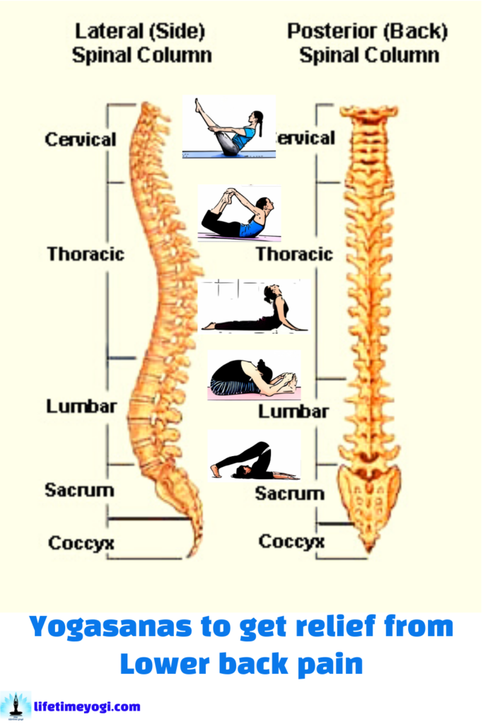 How to Get Relief from Lower Backpain for Aged Person?  Top 5 Yoga Posture for Back Pain Relief & Prevention