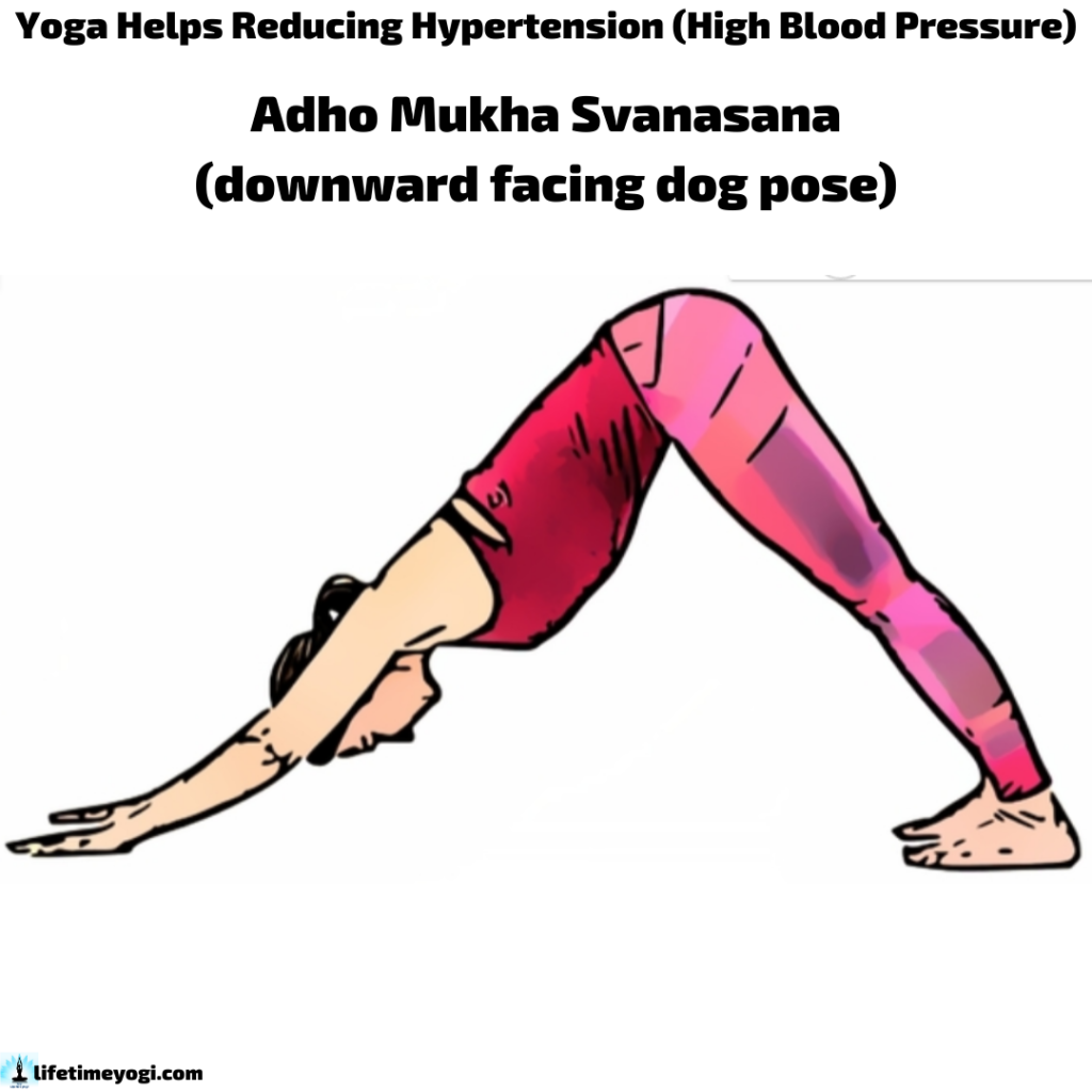 Adho Mukha Svanasana Yoga Helps Reducing Hypertension