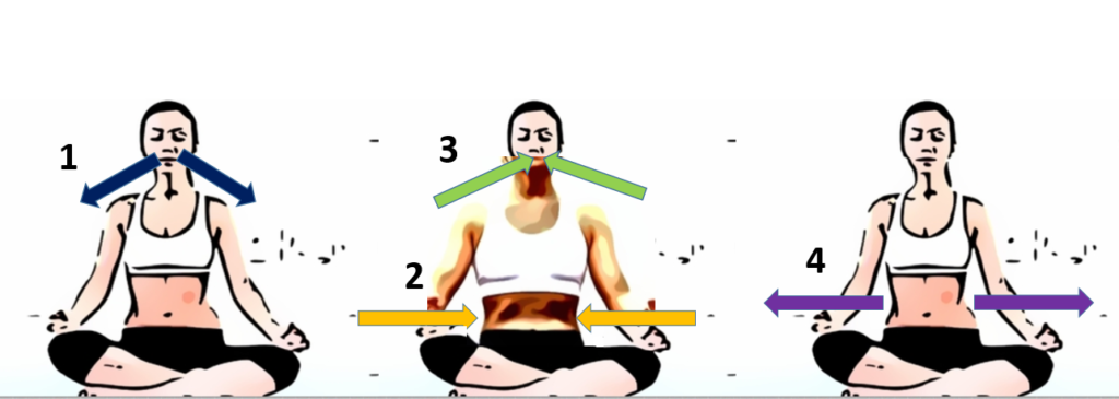 Kapalbhati (Skull Shining Breathing)-Yoga Poses For High Blood Pressure Patients 