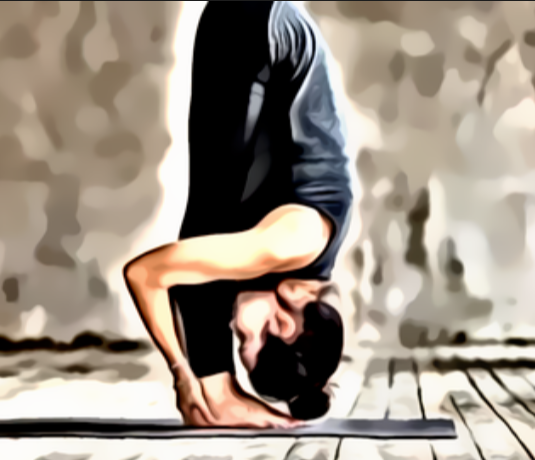 yoga workout plan for beginners