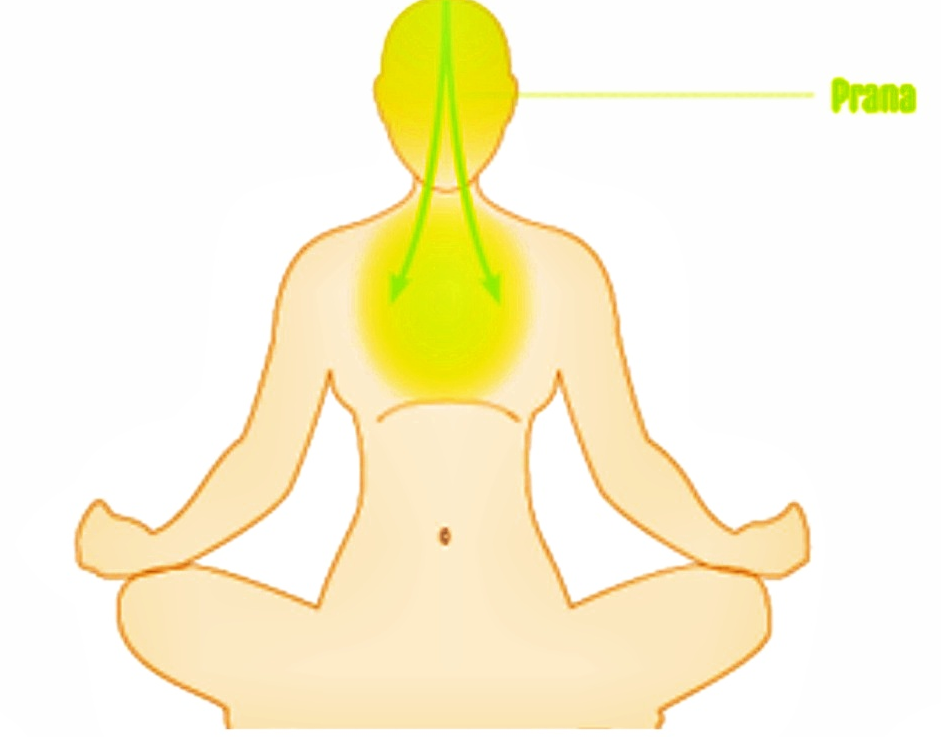 the subtle energy pathways in hatha yoga