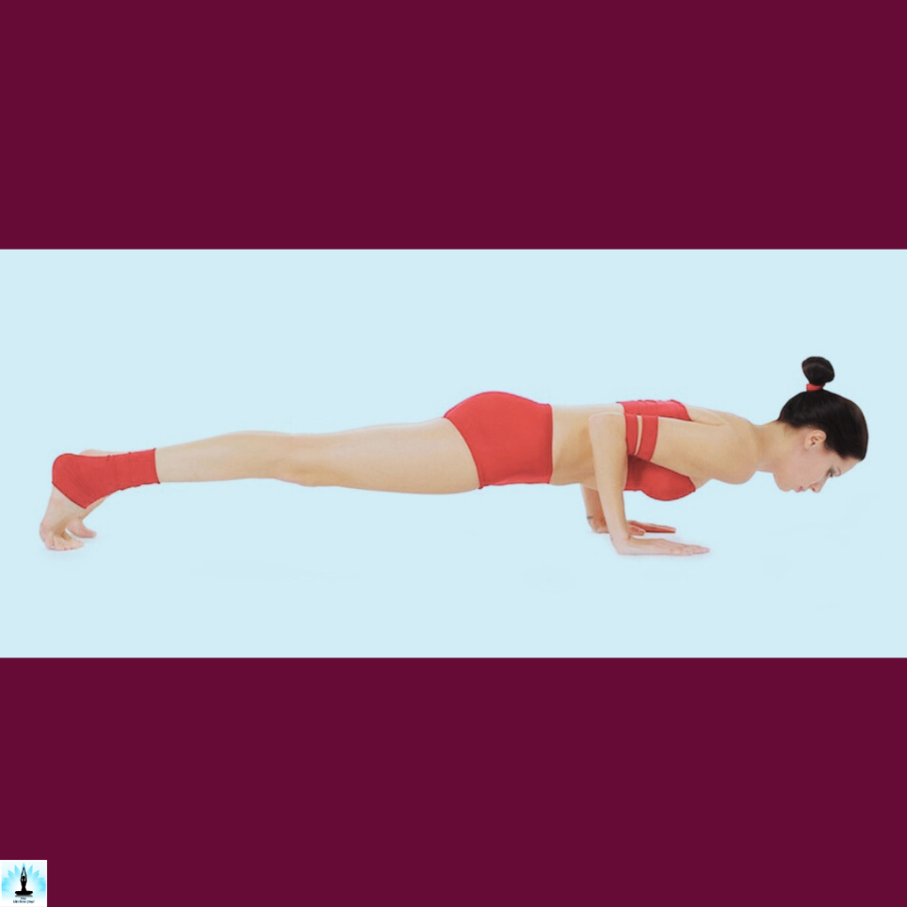 benefits of chaturanga dandasana