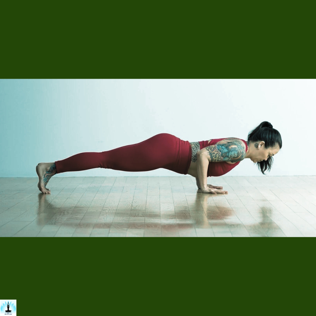 Eka Pada Chaturanga Dandasana / One Legged Four Limbed Staff Pose