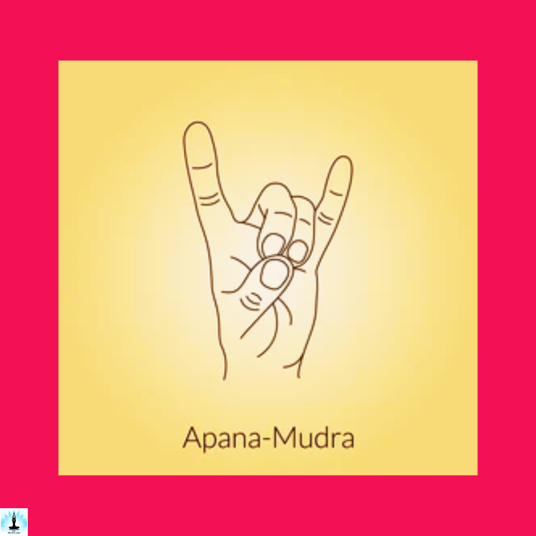 Top Benefits Of Apana Mudra Best 6 Step By Step Instructions Of Apana