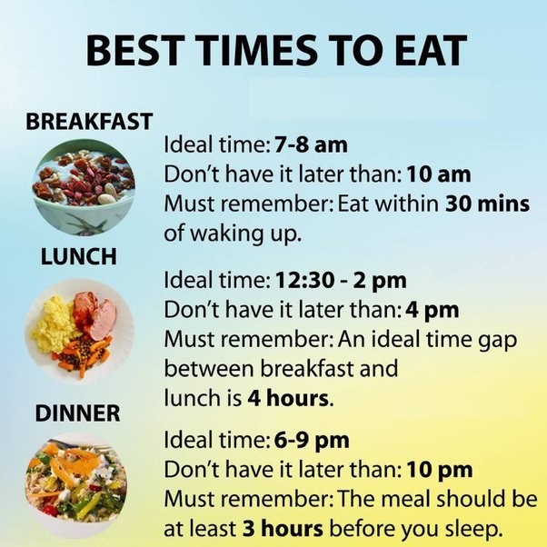 how often should i eat per day