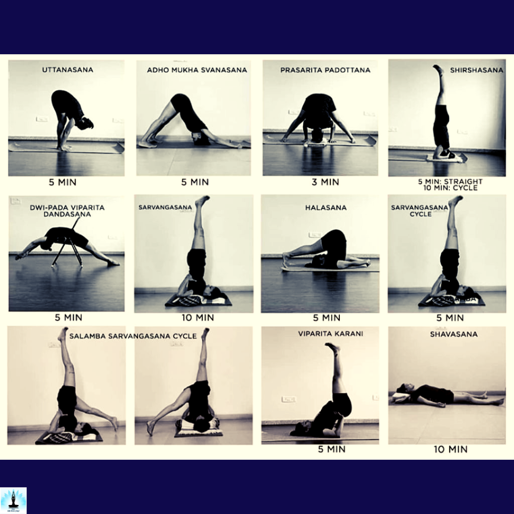 how does yoga affect the immunity system