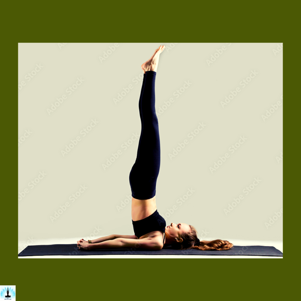 advance variations of sarvangasana