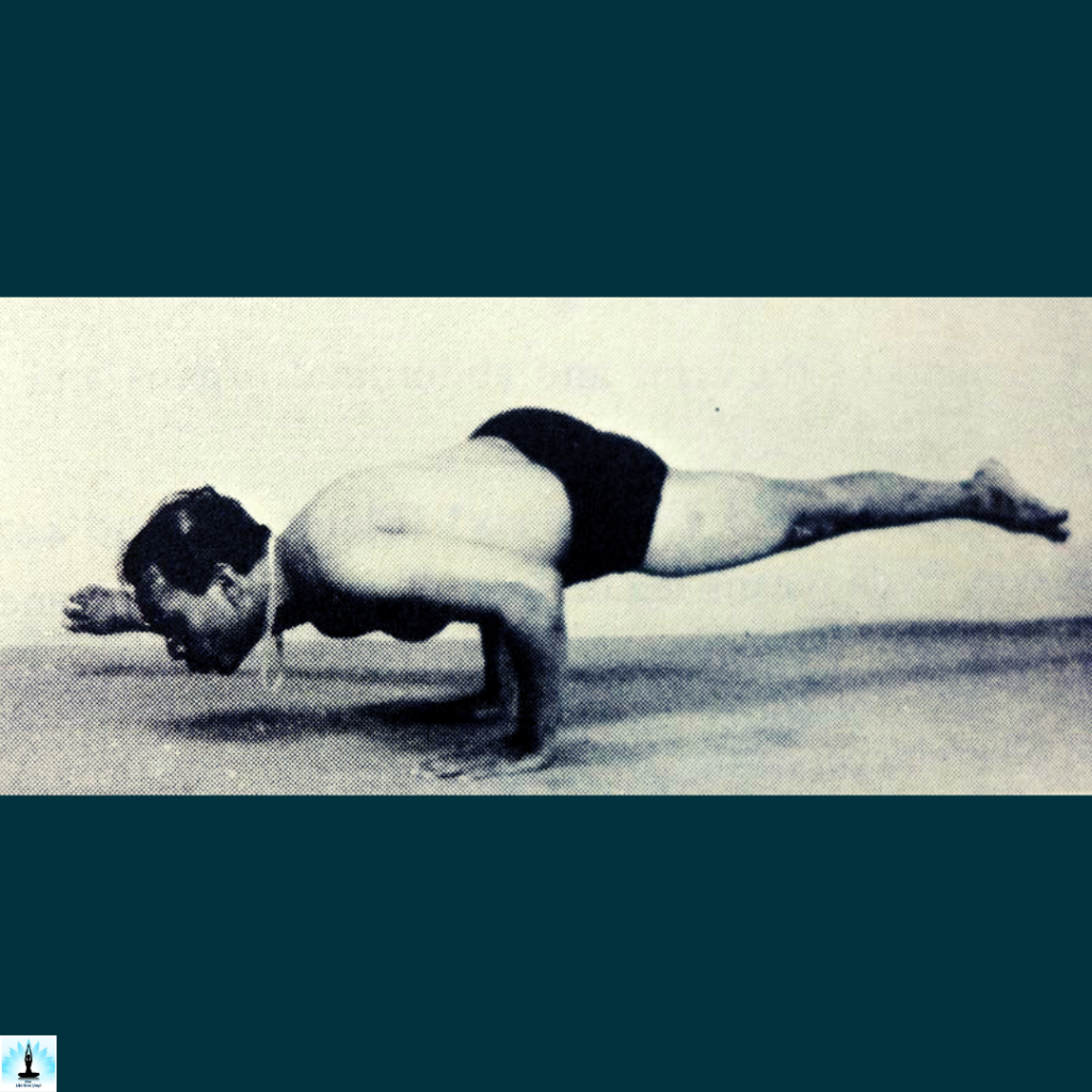 advance variations of koundinyasana