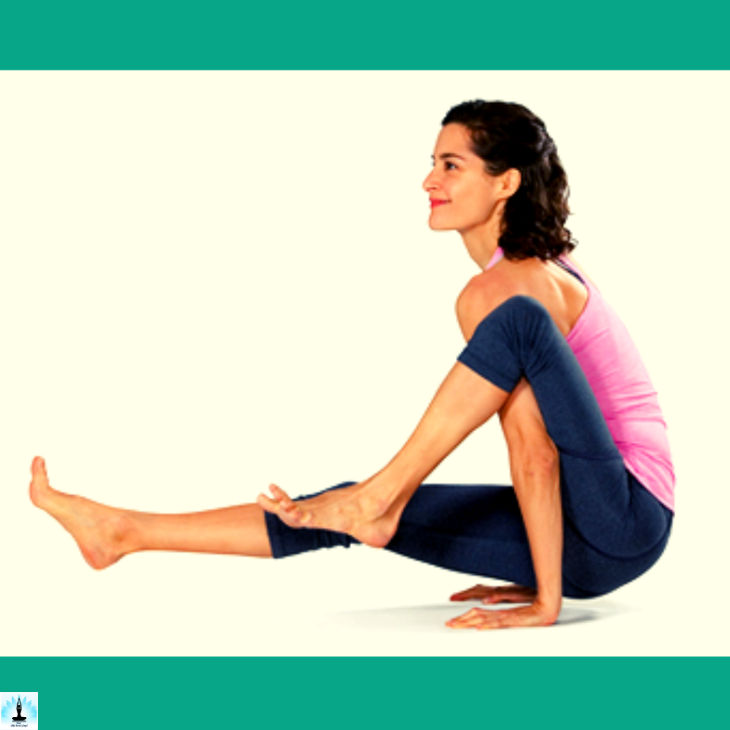 advance variations of tittibhasana