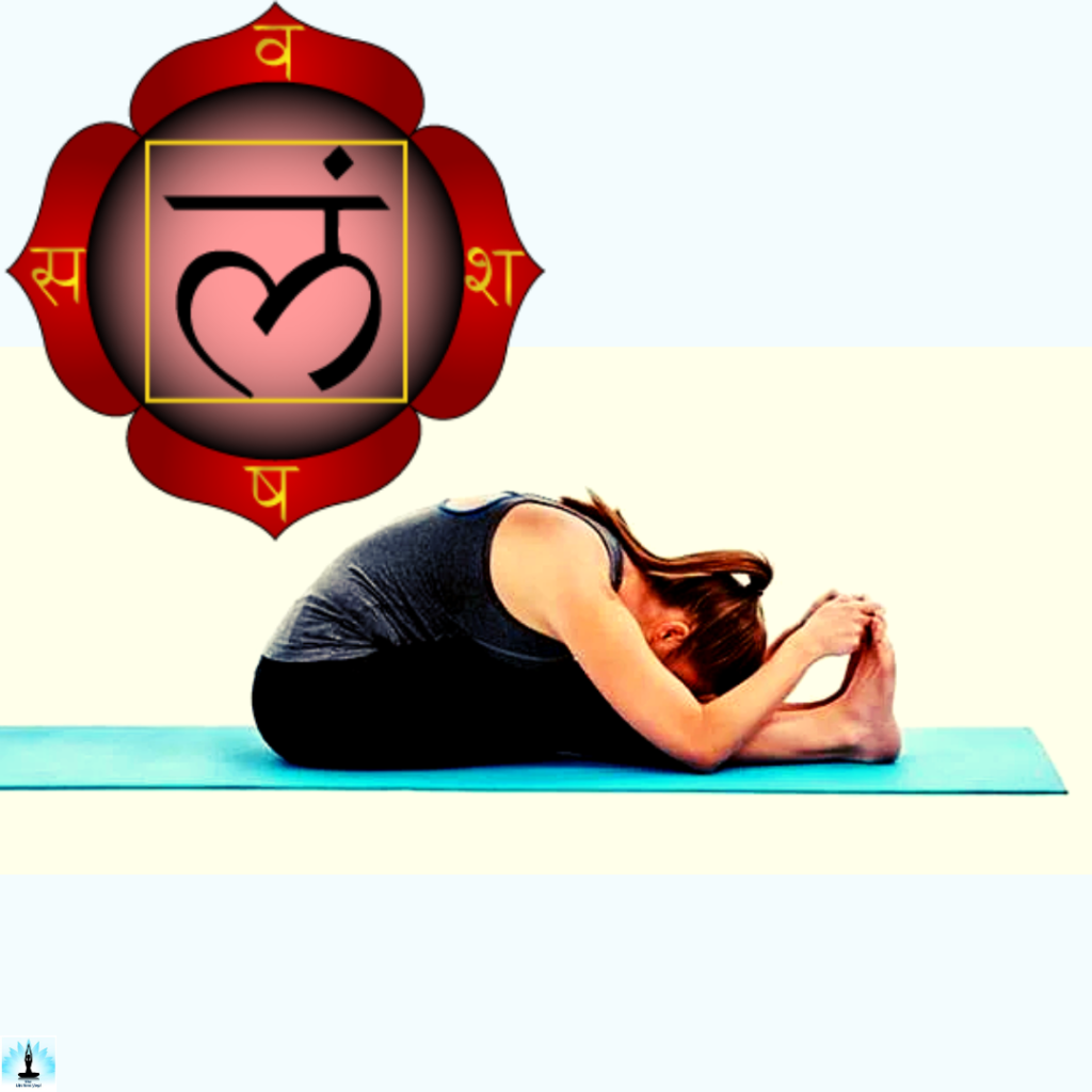 Which Chakra is Activated by Practicing Paschimottanasana (Seated Forward Bend Pose)