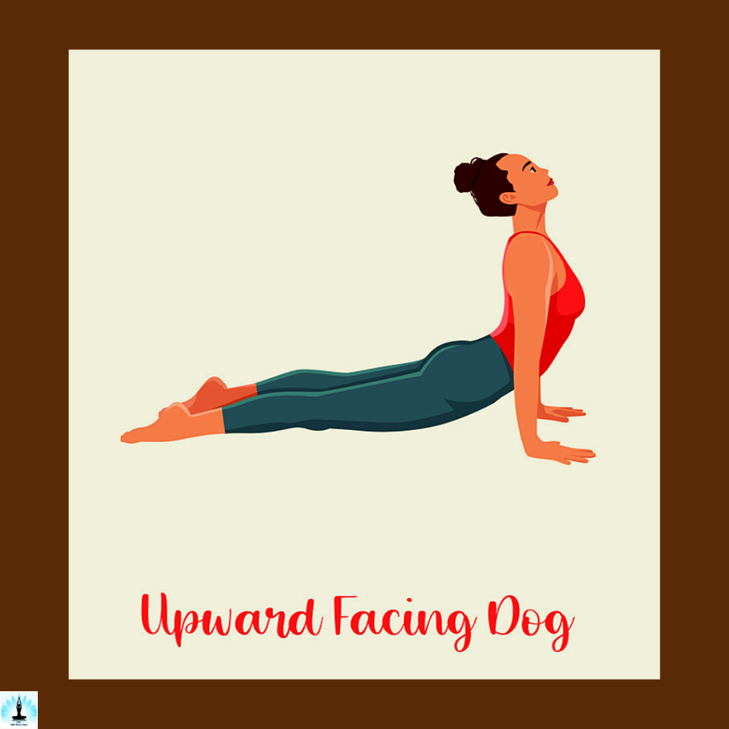 follow-up poses of sarvangasana