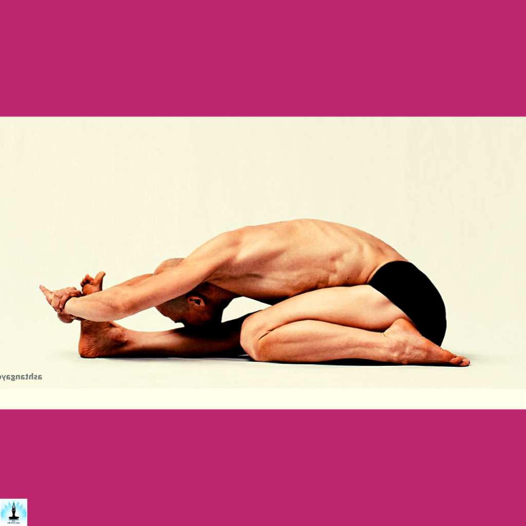 advance variations of paschimottanasana