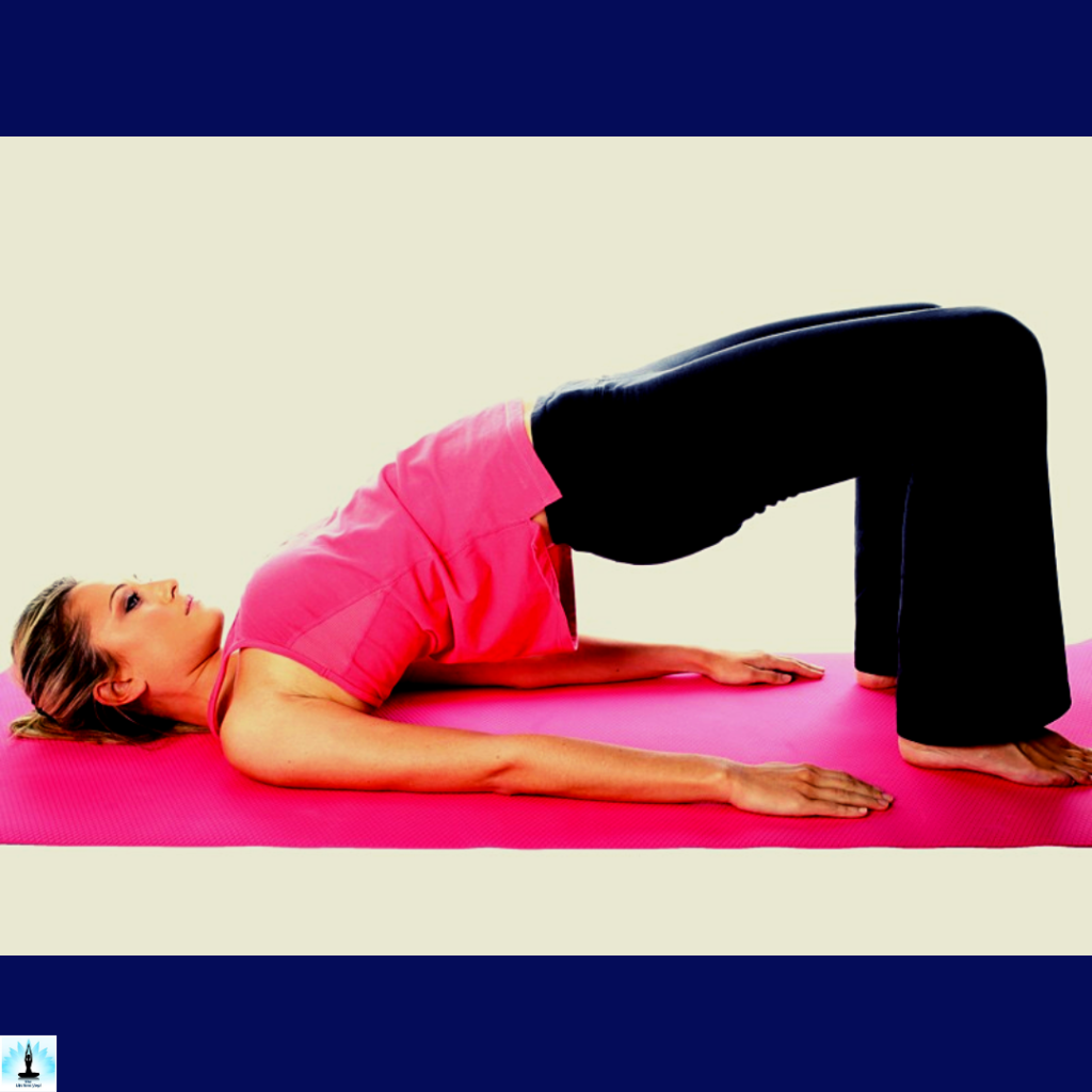 preparatory poses of sarvangasana