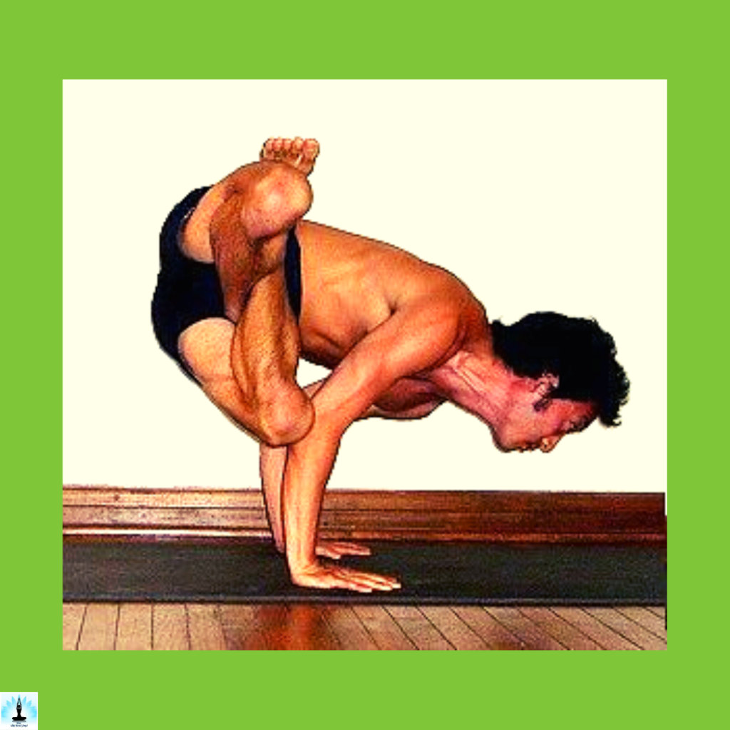 advance variations of kukkutasana