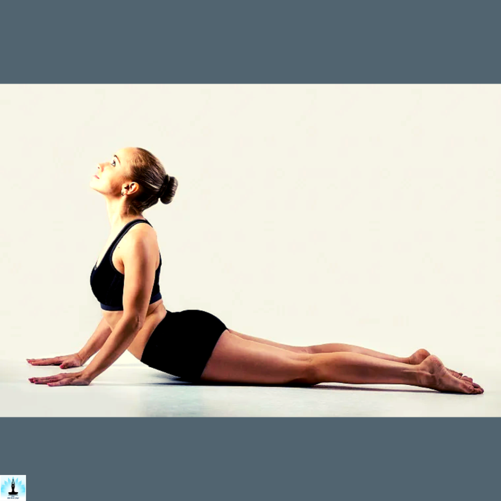 Poses Related to Ustrasana (Camel Pose)