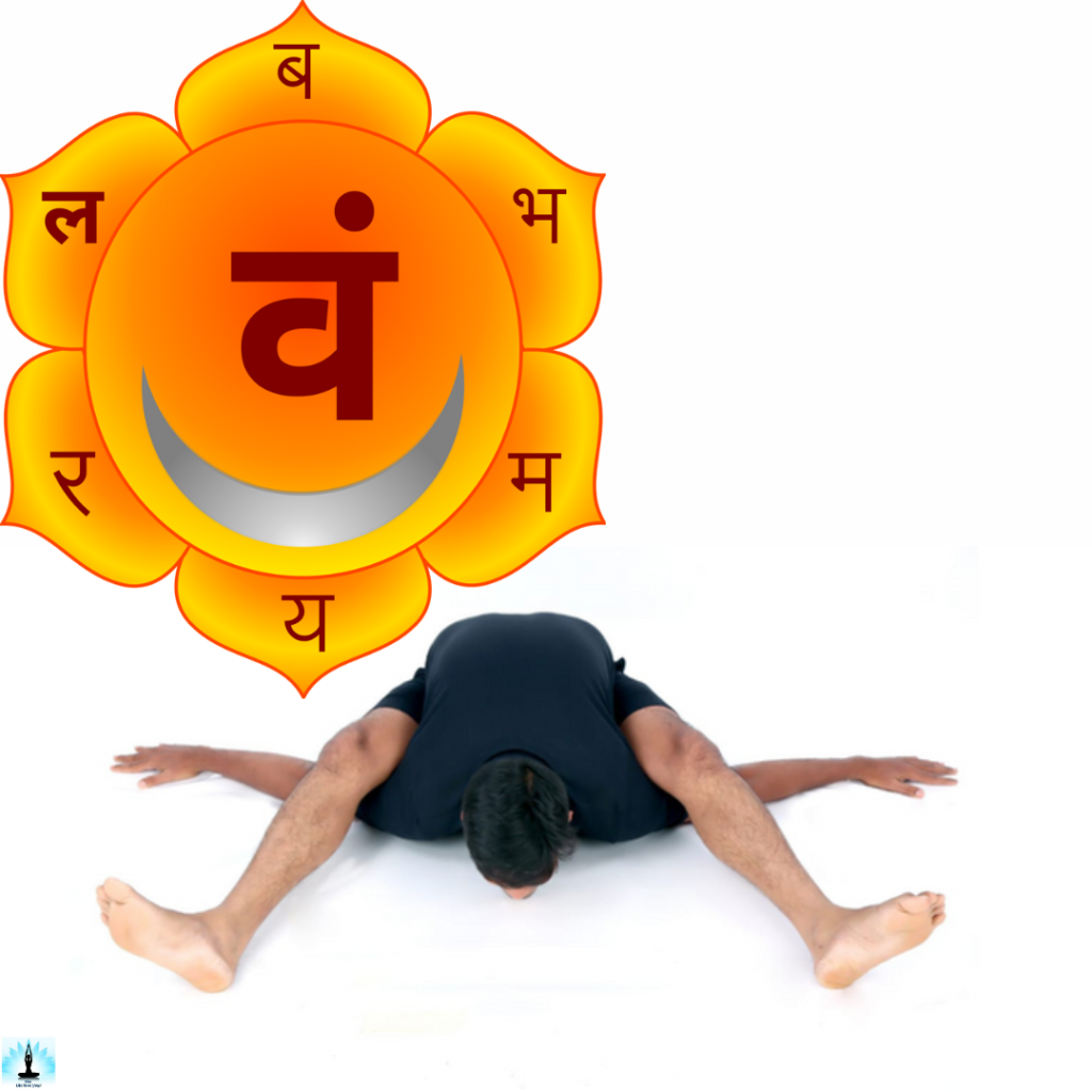 Which Chakra is Activated by Practicing Kurmasana (Tortoise Pose)